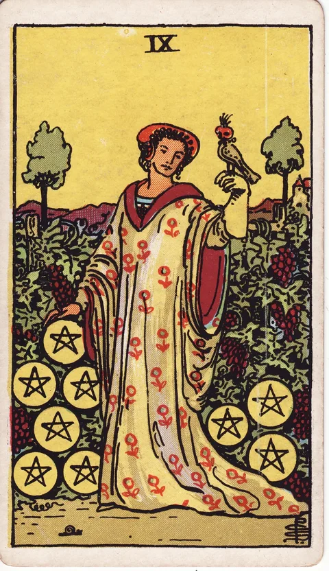 Nine of Pentacles — Rider–Waite–Smith